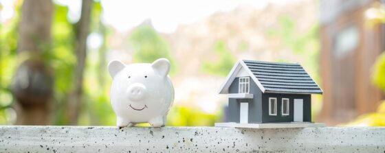 Investissement locatif LMNP : tout ce que vous devez savoir